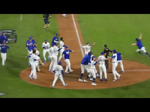 このシーン、何度見ても泣ける‼️山本由伸選手がクローザーで登場を覚悟の瞬間、フレディがホームラン‼️寸前のところで回避.18回の死闘に決着。優勝の時より喜ぶ大谷翔平選手。#ohtani #yoshi