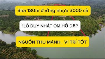 3ha đã con mắt ae ơi lh 0979601651 #datvuongiare #bdsdaknong #muabandatgiare 