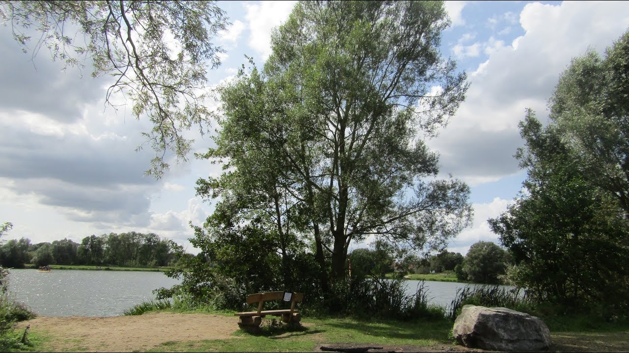 Oudenaarde : Ontdek de rijke natuur langs de Donkvijver nabij Bevere door Catherine Boone