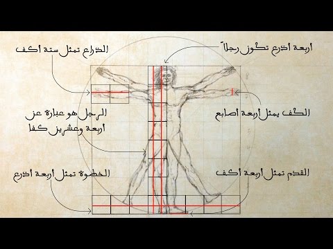 Vitruvian Man || Proportions