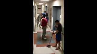 harlem shake 214 FA