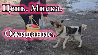 видео: Реальность без прикрас. День стольника картинка: Реальность без прикрас. День стольника