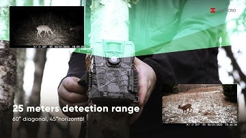 M15 | Capture Game Efficiency