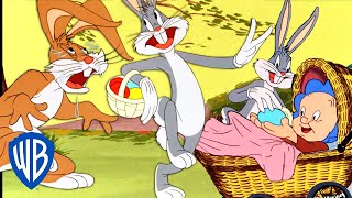 Looney Tunes | The New Easter Bunny...Hooray!  | Classic Cartoon | @wbkids