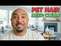 The ultimate pet-friendly deep cleaning system #petcare #cleaning #hacks