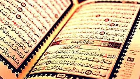 لا تنسوا قراءة سورة الكهف