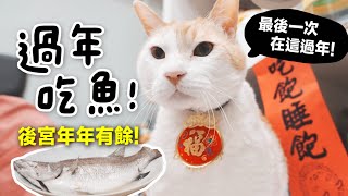 【黃阿瑪的後宮生活】過年吃魚！後宮年年有餘！ by 黃阿瑪的後宮生活 184,430 views 1 month ago 10 minutes, 48 seconds