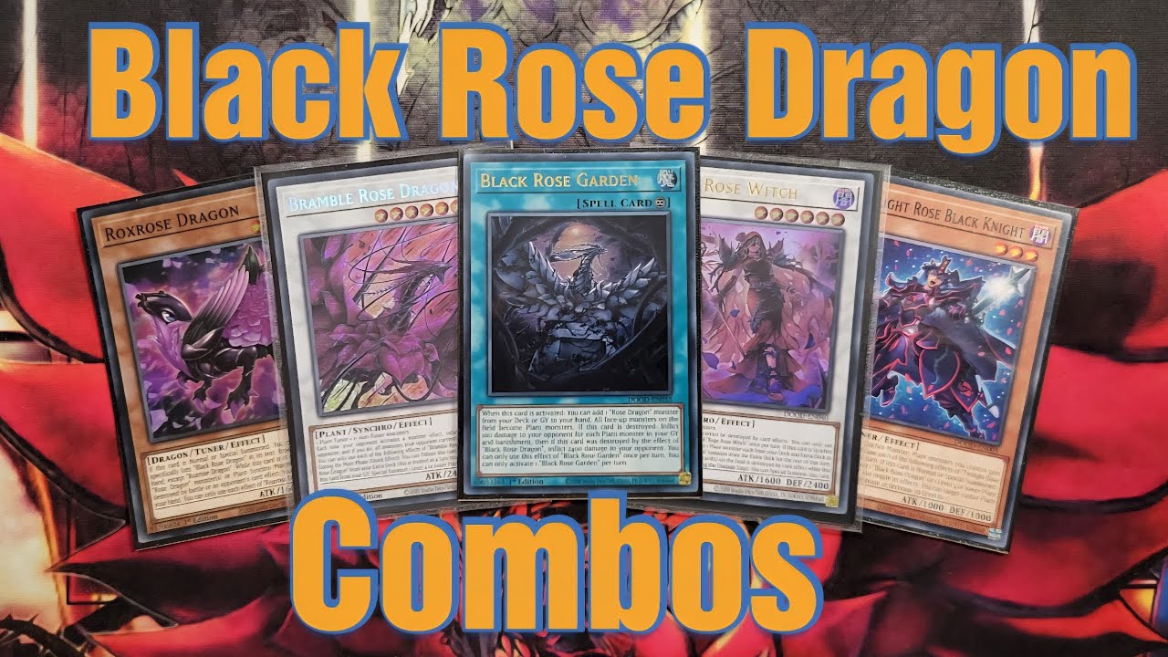 Yu-Gi-Oh Black Rose Dragon Combos