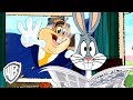 Looney Tunes em Português | Brasil | Wonderful Bugs ft. Walter Bunny | WB Kids