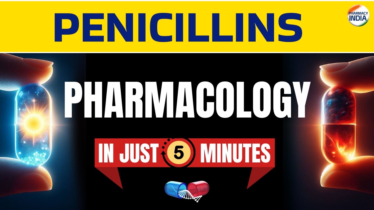 Пенициллины | Побочные эффекты | Применение | Механизм действия через 5 минут 