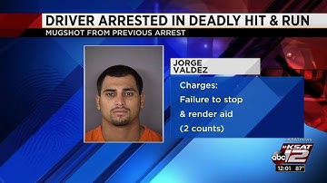 Police grateful to 2 witnesses for help tracking down driver in fatal hit-and-run