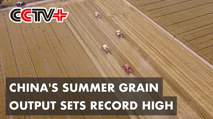 China's Summer Grain Output Sets Record High - DayDayNews