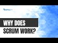 Why Does Scrum Work?