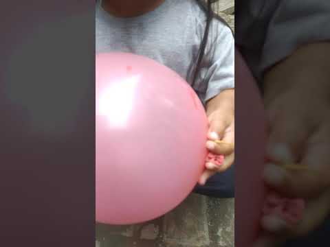 Video: 1 Berlian Diikat Ke Balon + 1 Anjing = 2 Manusia Sangat Bahagia