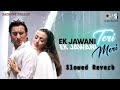 Ek Jawani Teri Ek Jawani Meri|| slowed reverb || lofi 🎧 Mp3 Song