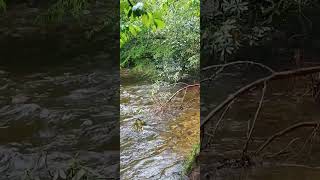 Standing Indian Trout Waters