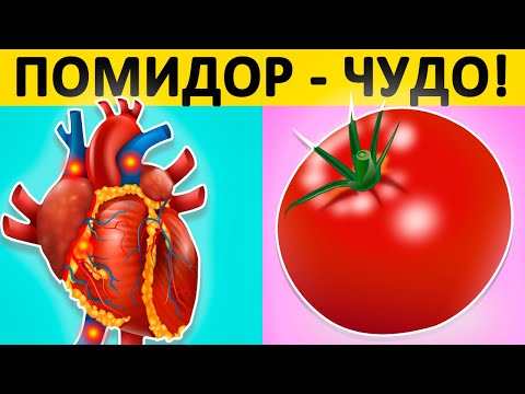 Что ТВОРИТ ПОМИДОР с ОРГАНИЗМОМ, когда ВЫ его едите? Польза и вред помидоров