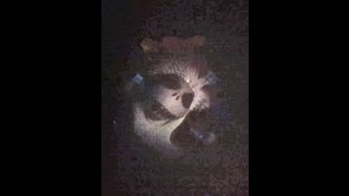 Haunted Mansion Holiday 2013 Stretching Room New Effects At Disneyland