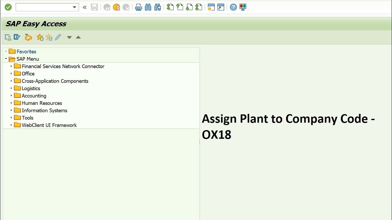 assign company code plant