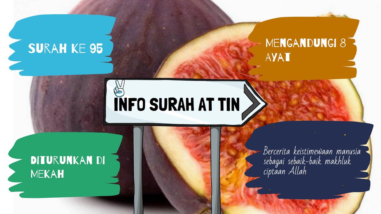 Surah At Tin : Pendidikan Islam Tahun 5 (Hafazan) - YouTube
