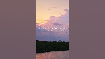 الآية 155 و 156 من سورة البقرة القارئ بيشه وا الكردي #اكسبلور #nature