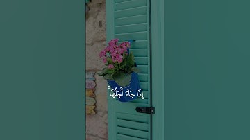 تلاوة طيبة للشيخ عبدالودود حنيف #quran
