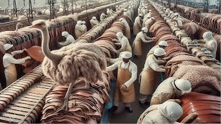 Amazing! Thousands of tons of ostrich leather are processed into super luxury products