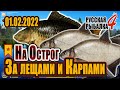 Трофейный Карп на Остроге 01.02.2022! Русская рыбалка 4! Лещ! Фарм! РР4! РЫБОКИТ! 俄羅斯漁夫4 #83