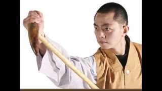Premium Wushu Bodhidharma Cane Shaolin Damo Cane 
