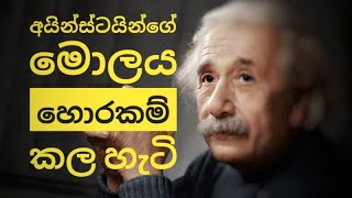 Elbert Einstein's Stolen Brain - Sinhala | Aruna Namal