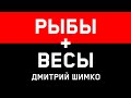 ВЕСЫ+РЫБЫ - Совместимость - Астротиполог Дмитрий Шимко