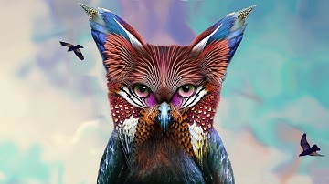 Timelapse pro photo edit | Galantis animal painting | GIMP | Music by Jonas Platin