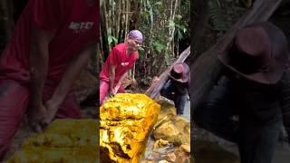 AMAZING WORKERS SKILLS.! DIGGING GOLD NUGGETS #shortvideo #trendingshorts #metaldetecting #water