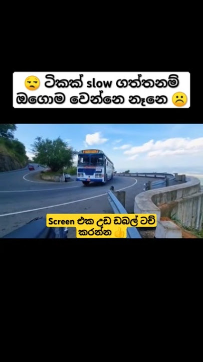 😒 බස් එක #travel #automobile #tour #trip #bus #busrace #music #trending #driving #shortsfeed #shorts