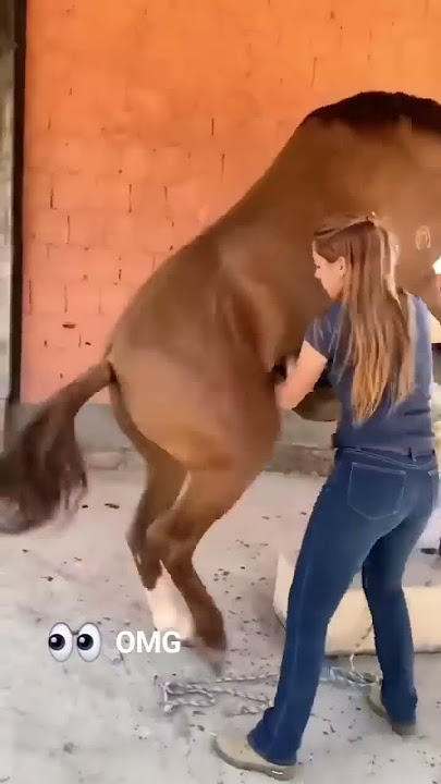 Le pauvre Cheval