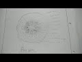 BBYCT131 full English assignment (part 2)