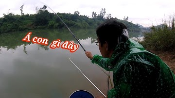 Câu cá sông/câu đài tự nhiên