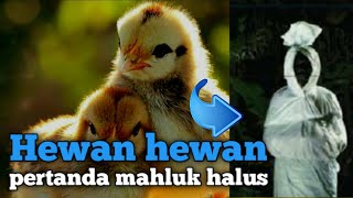 5 suara hewan ini menandakan ada mahluk halus di dekatmu