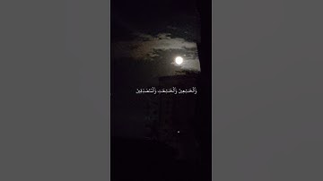 تلاوة من سورة الأحزاب| الشيخ أحمد بن طالب.