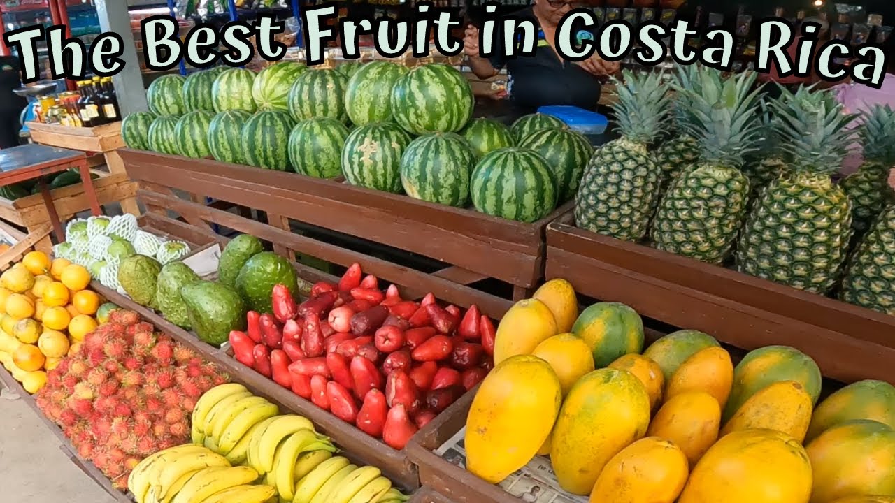 11 Exotic Fruits In Costa Rica The Famous Orotina Fruit Stands