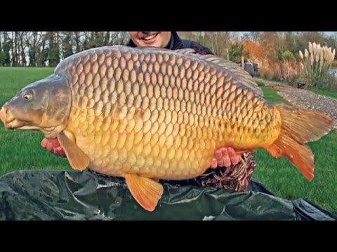 The Biggest Catches of the year