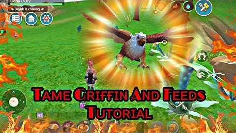 How to Tame Griffin Update 2020 and Feed Tutoria:Utopia Origin