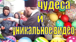 Уникальные кадры/Чудеса с наше время/Малахов в двух шагах /Чудеса на Пасху/Елена и зверята Уникальные кадры/Чудеса с наше время/Малахов в двух шагах /Чудеса на Пасху/Елена и зверята