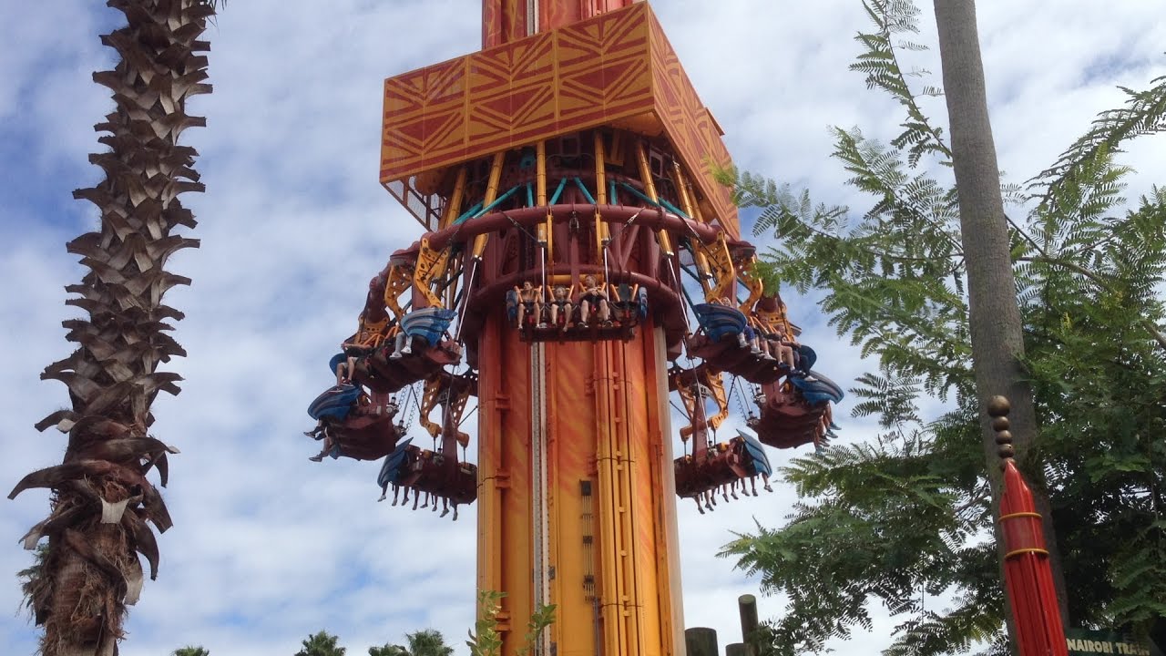 busch gardens tampa falcons