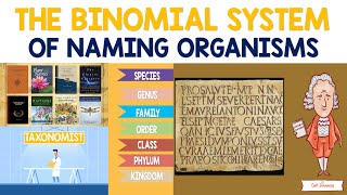Binomial System of Naming Organisms | Biology Animation
