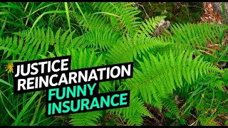 Justice Reincarnation Funny Commercial Insurance Life Insurance