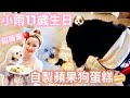 小雨11歲生日🐩自製狗狗蘋果小蛋糕🎂小雨薯條極速吃光光🤣cheerS beauty 【中字】