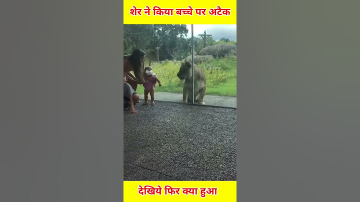 शेर ने किया छोटे बच्चे पर अटैक फिर आगे क्या हुआ | #shorts | lions🦁 attack on child | #youtubefacts