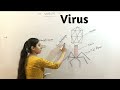 Biological Classification-Virus Lichens for Neet-2020