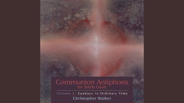 Fourteenth Sunday in Ordinary Time (Alternative Antiphon)